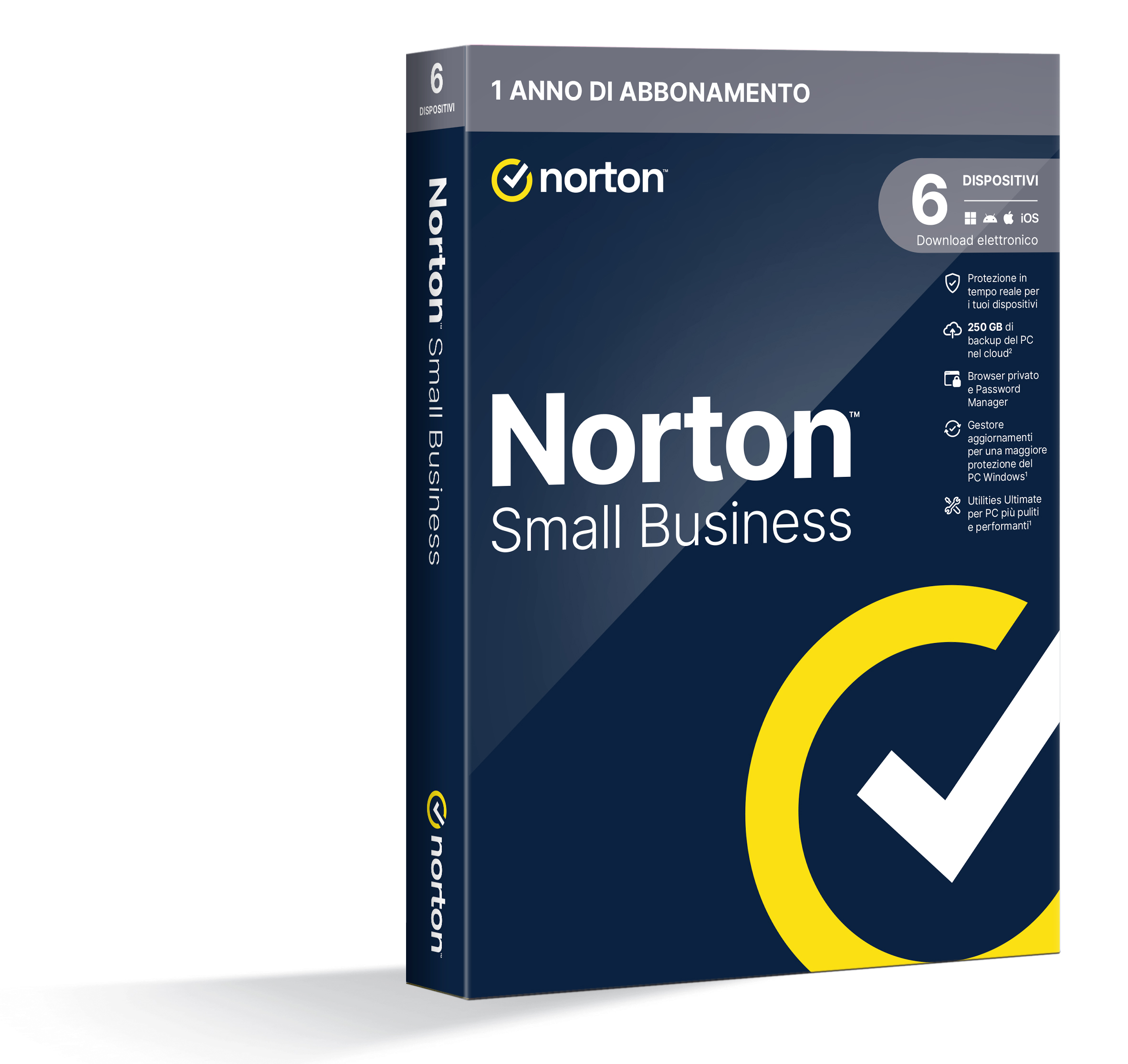 NORTON SMALL BUSINESS 1USER 6 DEV 250GB BACKUP 12 MESI