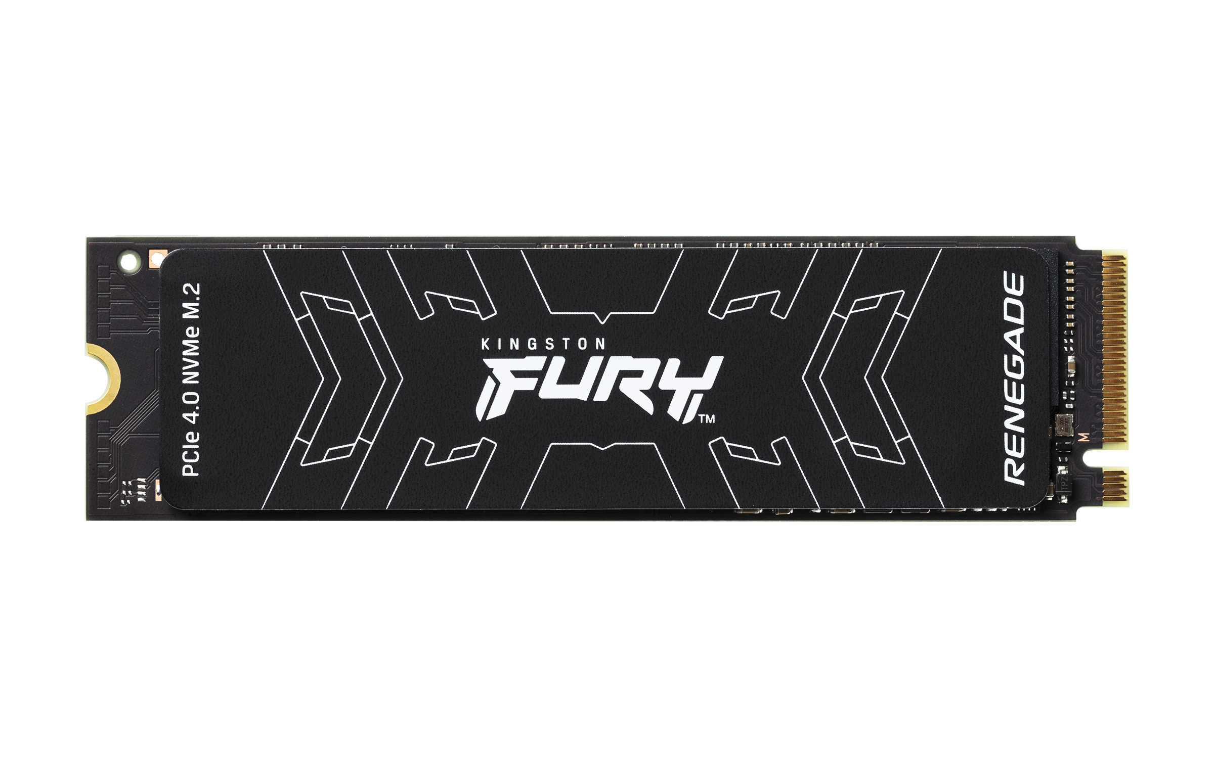 SSD M.2 1TB 2280 FURY RENEGADE PCIE 4.0 R/W 7300/6000 MB/S 3D TLC